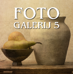 FOTO GALERIJ 5