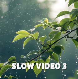 VIDEO 3: slow
