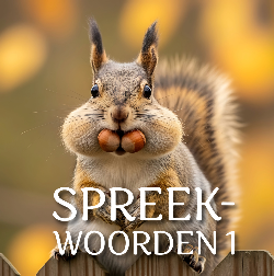 SPREEKWOORDEN 1