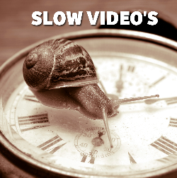SLOW VIDEO'S