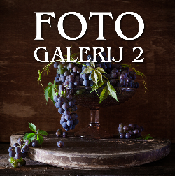 FOTO GALERIJ 2