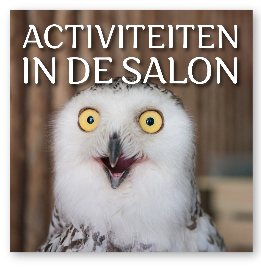 Activiteiten