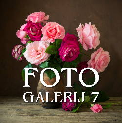 FOTO GALERIJ 7