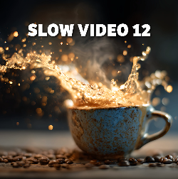 VIDEO 12: slow