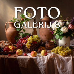 FOTO GALERIJ 8