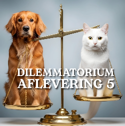 DILEMMATORIUM video 5
